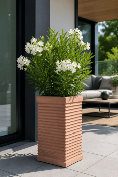 Preview: Blumenkasten aus Impruneta Terrakotta 27x27x50 cm – frostsicher, modern, nachhaltig